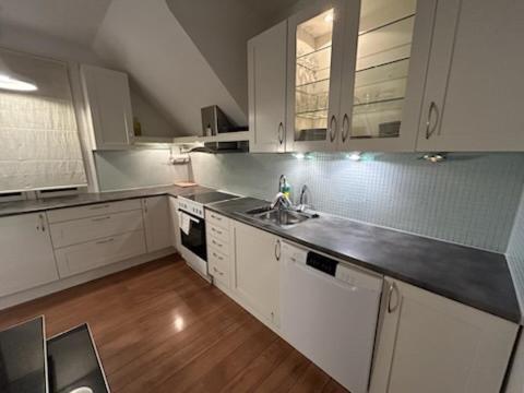 Apartment Sentrums Med Balkong *